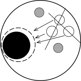 Иллюстрация к книге — Счастливая жизнь без панических атак и тревог. Эффективный метод избавления от ВСД, страхов и паники, которые мешают жить [i_010.jpg]