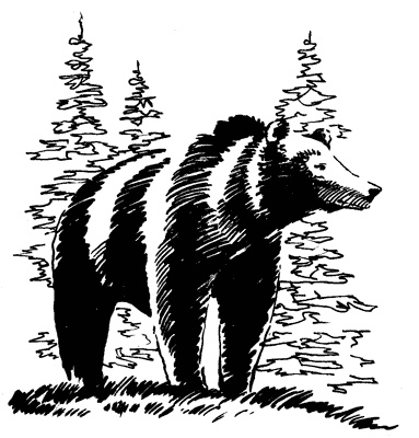 Иллюстрация к книге — Под Большой Медведицей [i_024.jpg]