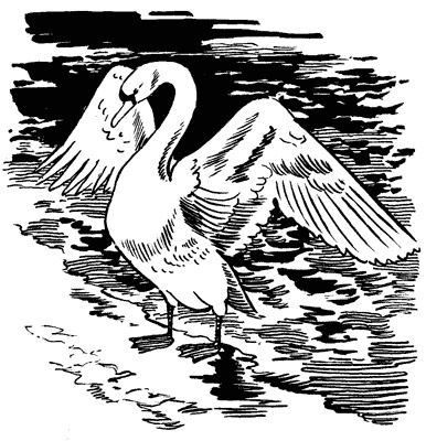 Иллюстрация к книге — Под Большой Медведицей [i_038.jpg]