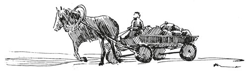 Иллюстрация к книге — О Котласе для маленьких котлашан [i_016.jpg]