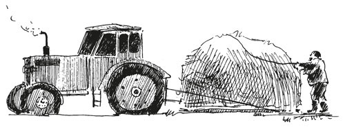 Иллюстрация к книге — О Котласе для маленьких котлашан [i_029.jpg]