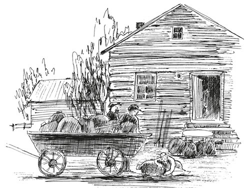 Иллюстрация к книге — О Котласе для маленьких котлашан [i_030.jpg]