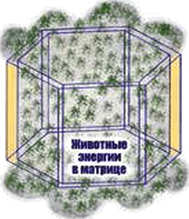 Иллюстрация к книге — Энергетическое исцеление матрицами [_072.jpg]