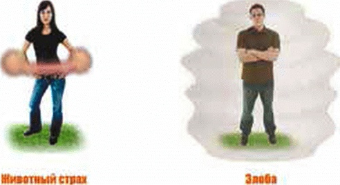 Иллюстрация к книге — Энергетическое исцеление матрицами [_083.jpg]