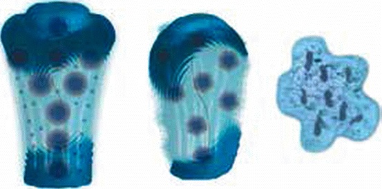 Иллюстрация к книге — Энергетическое исцеление матрицами [_253.jpg]