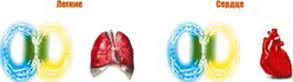 Иллюстрация к книге — Энергетическое исцеление матрицами [_397.jpg]