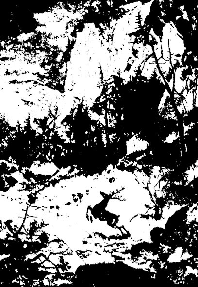 Иллюстрация к книге — Забытое убийство [_40.jpg]