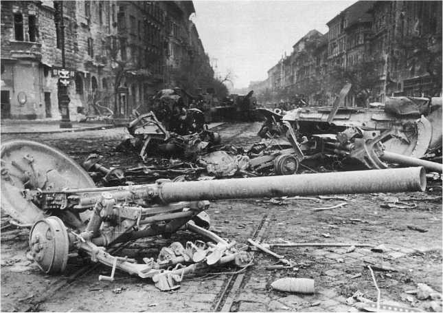 Иллюстрация к книге — Венгерский кризис 1956 года в исторической ретроспективе [i_032.jpg]