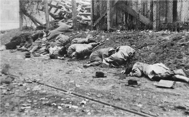 Иллюстрация к книге — Венгерский кризис 1956 года в исторической ретроспективе [i_033.jpg]