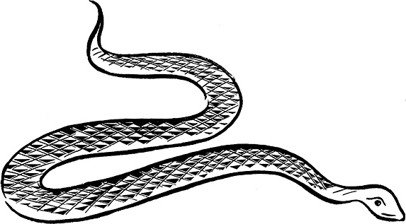 Иллюстрация к книге — Каждый мальчик должен знать! [i_032.jpg]