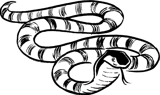 Иллюстрация к книге — Каждый мальчик должен знать! [i_034.jpg]