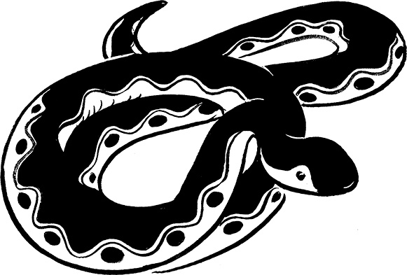 Иллюстрация к книге — Каждый мальчик должен знать! [i_035.jpg]