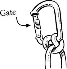 Иллюстрация к книге — Каждый мальчик должен знать! [i_050.jpg]