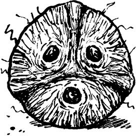 Иллюстрация к книге — Каждый мальчик должен знать! [i_059.jpg]