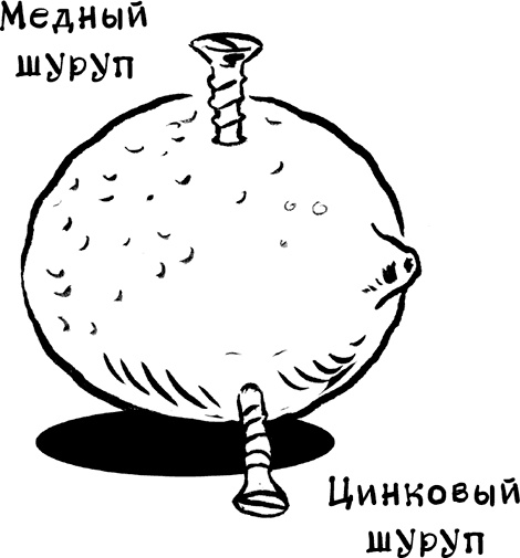 Иллюстрация к книге — Каждый мальчик должен знать! [i_076.jpg]