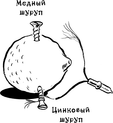 Иллюстрация к книге — Каждый мальчик должен знать! [i_077.jpg]