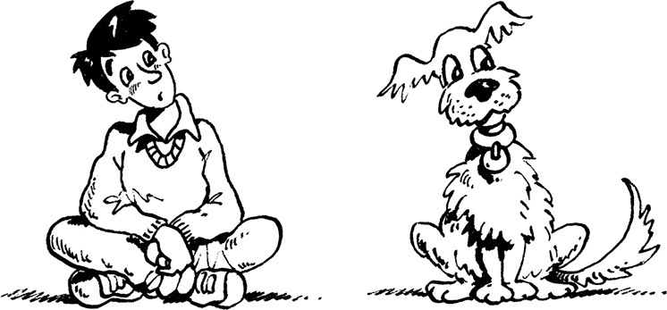 Иллюстрация к книге — Каждый мальчик должен знать! [i_079.jpg]