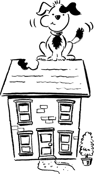 Иллюстрация к книге — Каждый мальчик должен знать! [i_115.jpg]