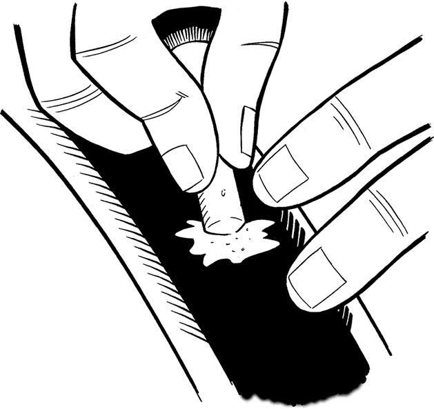 Иллюстрация к книге — Каждый мальчик должен знать! [i_142.jpg]