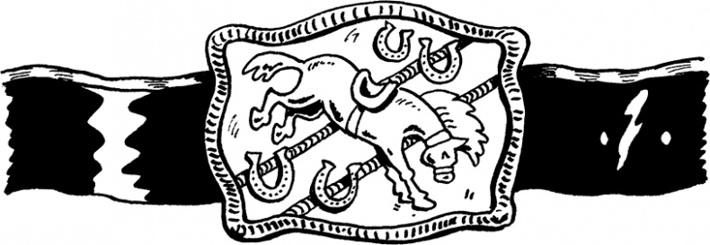 Иллюстрация к книге — Каждый мальчик должен знать! [i_168.jpg]