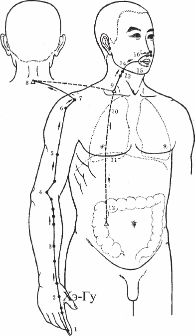 Иллюстрация к книге — Ци-Гун. Некоторые методы или Варенье из "Красного Цветка" [_05.jpg]