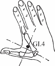 Иллюстрация к книге — Ци-Гун. Некоторые методы или Варенье из "Красного Цветка" [_06.jpg]
