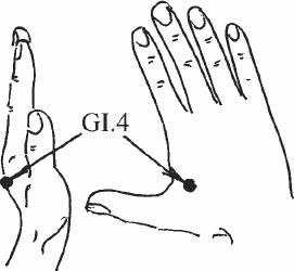 Иллюстрация к книге — Ци-Гун. Некоторые методы или Варенье из "Красного Цветка" [_07.jpg]