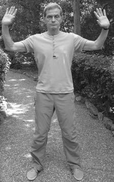 Иллюстрация к книге — Ци-Гун. Некоторые методы или Варенье из "Красного Цветка" [_21.jpg]