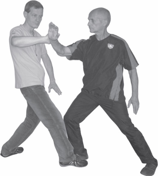 Иллюстрация к книге — Ци-Гун. Некоторые методы или Варенье из "Красного Цветка" [_39.jpg]