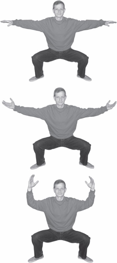 Иллюстрация к книге — Ци-Гун. Некоторые методы или Варенье из "Красного Цветка" [_45.jpg]