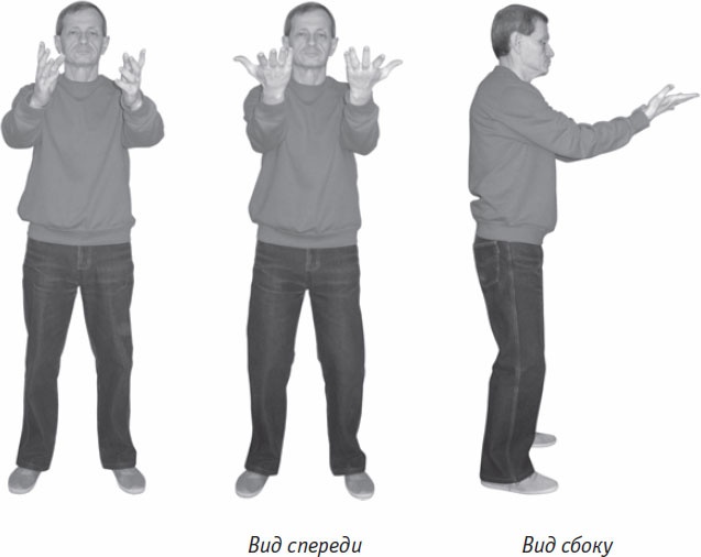 Иллюстрация к книге — Ци-Гун. Некоторые методы или Варенье из "Красного Цветка" [_71.jpg]