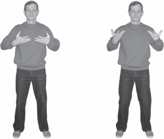 Иллюстрация к книге — Ци-Гун. Некоторые методы или Варенье из "Красного Цветка" [_72.jpg]