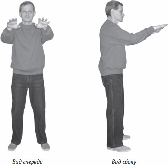 Иллюстрация к книге — Ци-Гун. Некоторые методы или Варенье из "Красного Цветка" [_74.jpg]