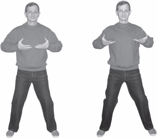 Иллюстрация к книге — Ци-Гун. Некоторые методы или Варенье из "Красного Цветка" [_79.jpg]