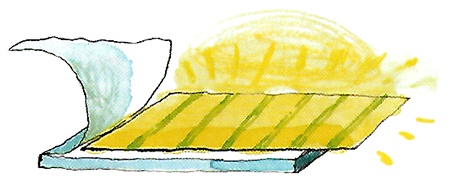 Иллюстрация к книге — Придумано девочками. Истории о выдающихся изобретательницах [i_048.jpg]