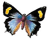 Иллюстрация к книге — Придумано девочками. Истории о выдающихся изобретательницах [i_073.jpg]