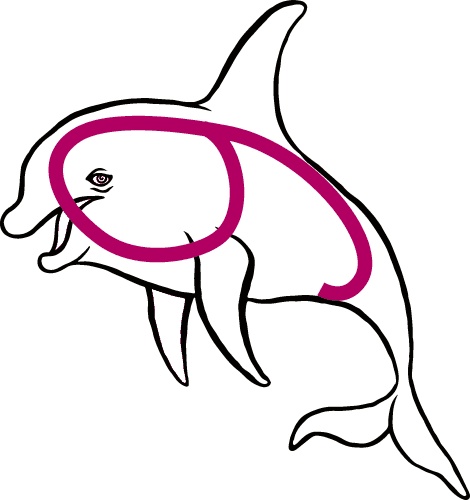 Иллюстрация к книге — 100% память. 25 полезных методов запоминания за 10 тренировок [i_068.jpg]