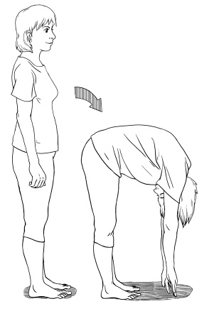 Иллюстрация к книге — Высокое давление. Как окончательно вылечить гипертонию [i_014.jpg]