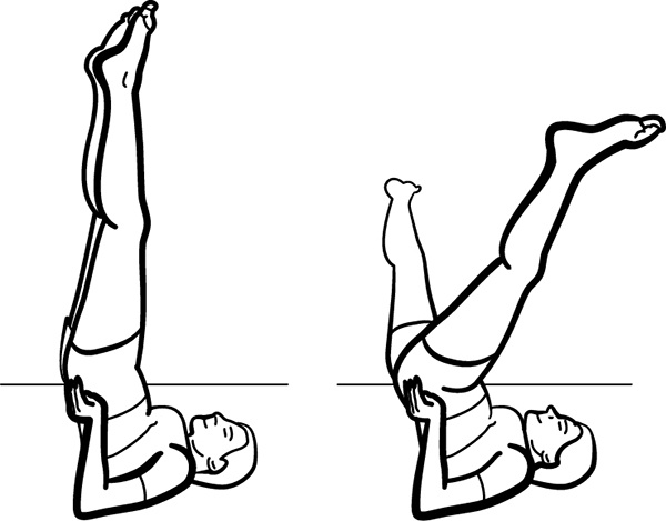 Иллюстрация к книге — Артерии и вены. Советы и рекомендации ведущих врачей [i_019.jpg]