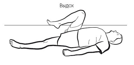 Иллюстрация к книге — Желудок и кишечник. Советы и рекомендации ведущих врачей [i_008.jpg]