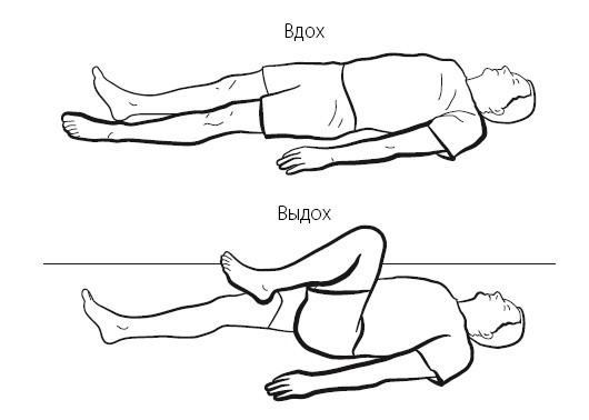 Иллюстрация к книге — Желудок и кишечник. Советы и рекомендации ведущих врачей [i_009.jpg]