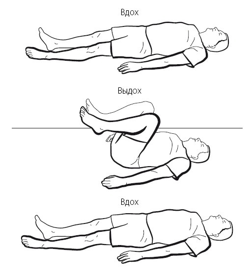 Иллюстрация к книге — Желудок и кишечник. Советы и рекомендации ведущих врачей [i_010.jpg]