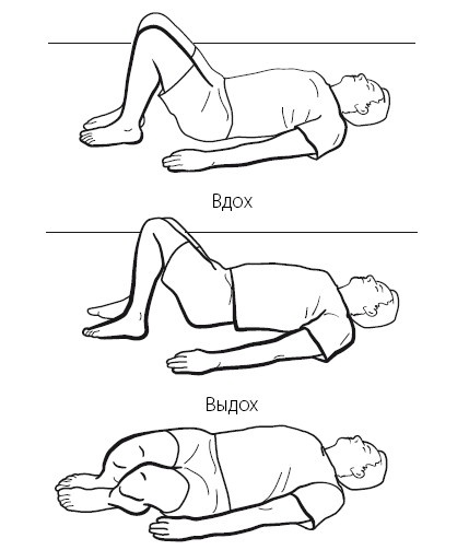 Иллюстрация к книге — Желудок и кишечник. Советы и рекомендации ведущих врачей [i_011.jpg]