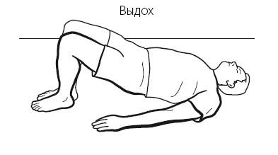 Иллюстрация к книге — Желудок и кишечник. Советы и рекомендации ведущих врачей [i_012.jpg]