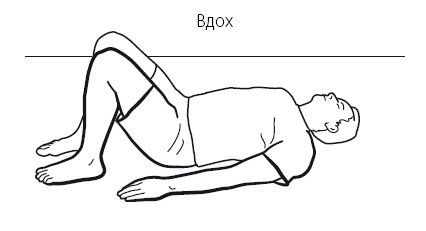 Иллюстрация к книге — Желудок и кишечник. Советы и рекомендации ведущих врачей [i_013.jpg]