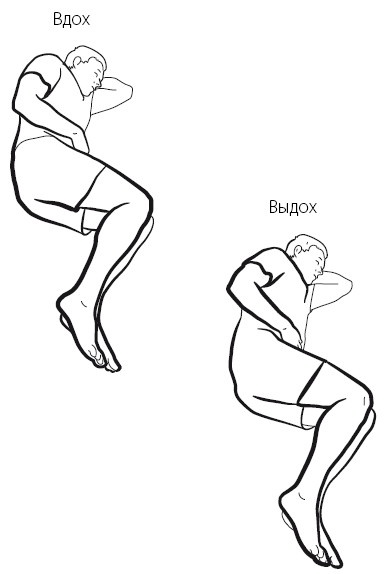 Иллюстрация к книге — Желудок и кишечник. Советы и рекомендации ведущих врачей [i_019.jpg]