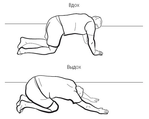 Иллюстрация к книге — Желудок и кишечник. Советы и рекомендации ведущих врачей [i_022.jpg]
