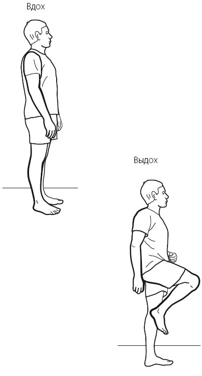 Иллюстрация к книге — Желудок и кишечник. Советы и рекомендации ведущих врачей [i_026.jpg]