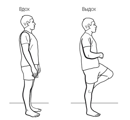 Иллюстрация к книге — Желудок и кишечник. Советы и рекомендации ведущих врачей [i_027.jpg]