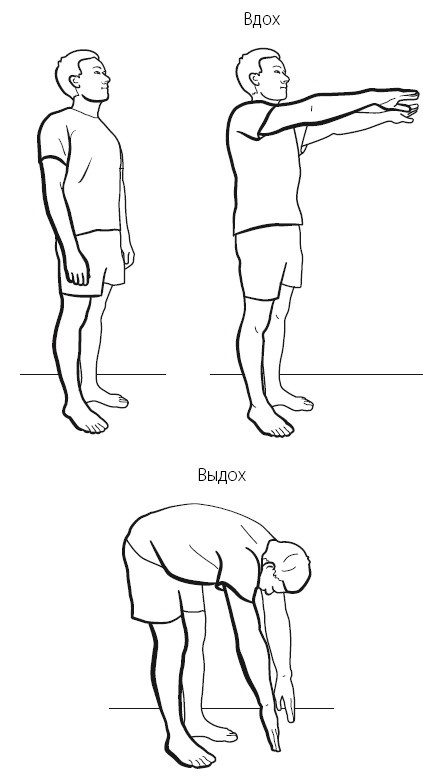 Иллюстрация к книге — Желудок и кишечник. Советы и рекомендации ведущих врачей [i_029.jpg]